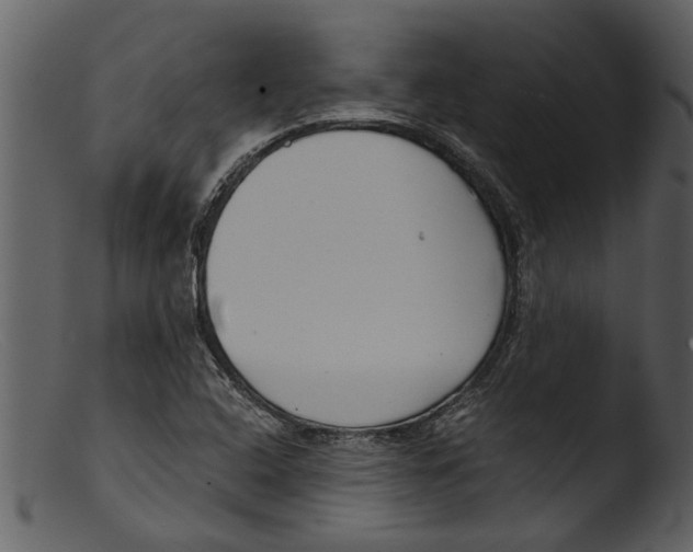 X0000103311408200809261326