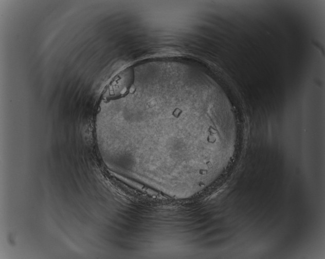 X0000103311409200809261326