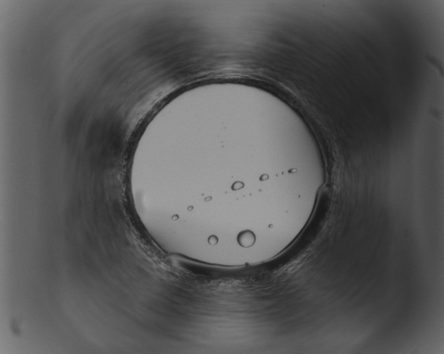 X0000103311410200809261326