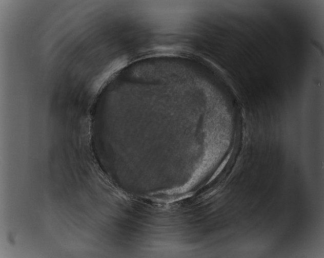 X0000103311411200809261326