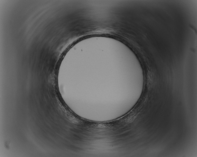 X0000103311412200809261326