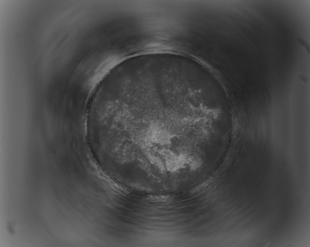 X0000103311415200809261326