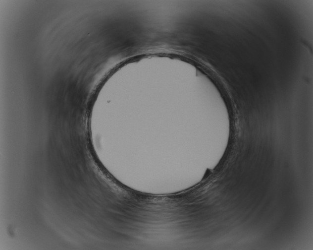 X0000103311416200809261326