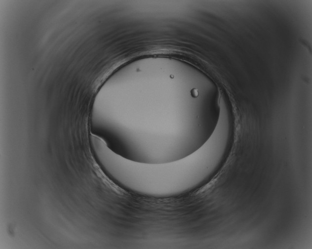 X0000103311417200809261326