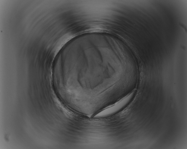 X0000103311418200809261326