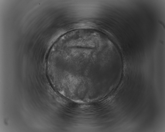 X0000103311419200809261326