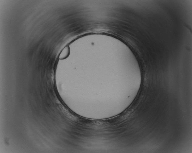 X0000103311420200809261326