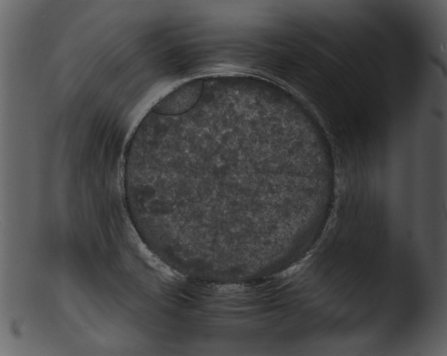 X0000103311421200809261326