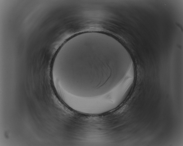 X0000103311422200809261326