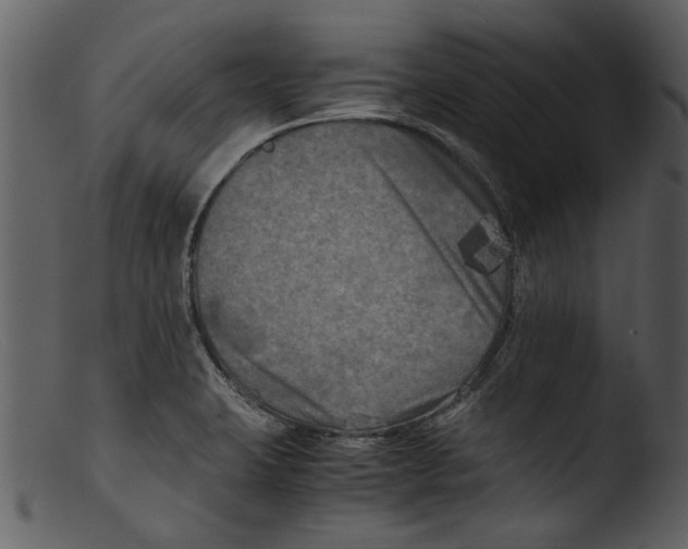 X0000103311423200809261326