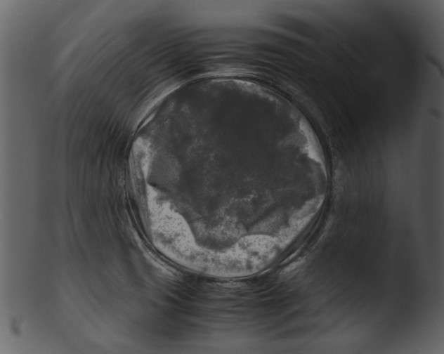 X0000103311425200809261326