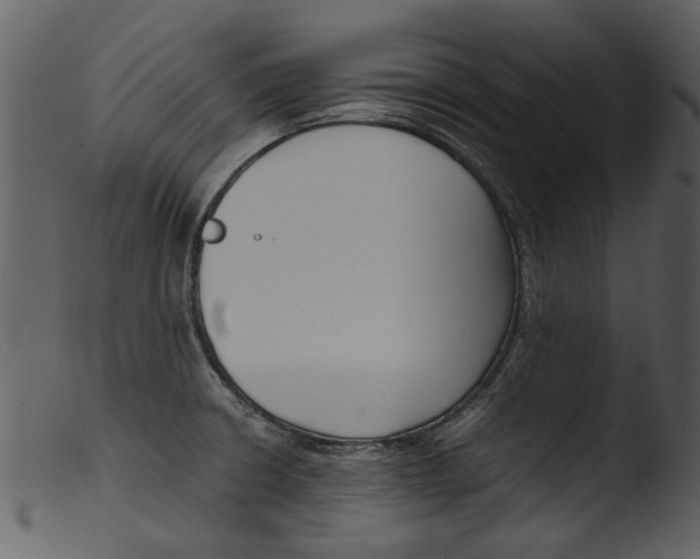 X0000103311426200809261326