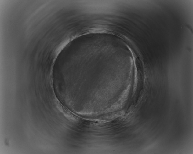 X0000103311427200809261326