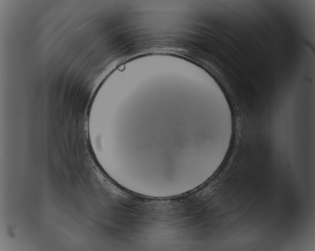 X0000103311428200809261326