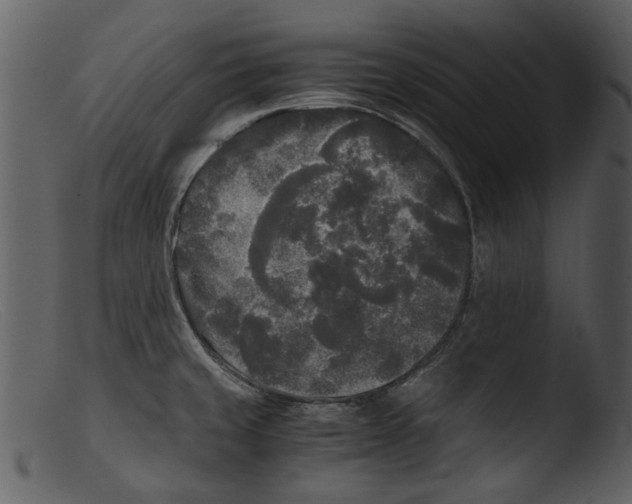 X0000103311429200809261326