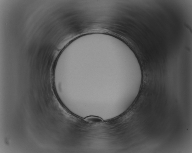 X0000103311430200809261326