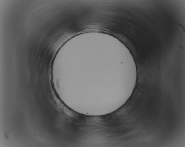 X0000103311431200809261326