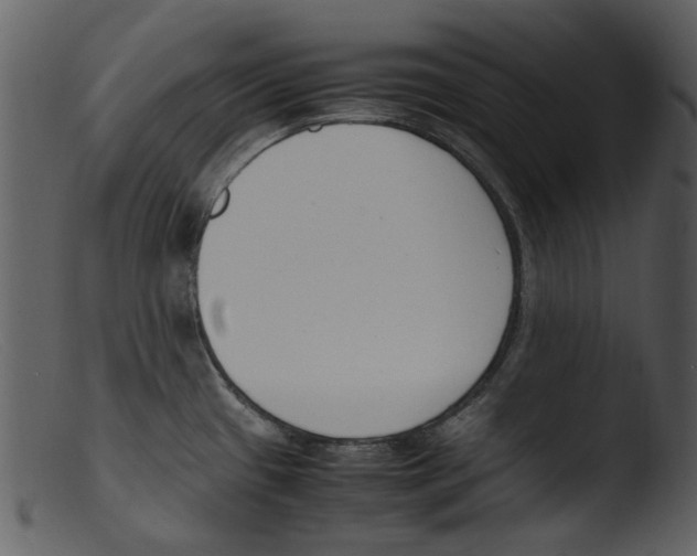 X0000103311433200809261326