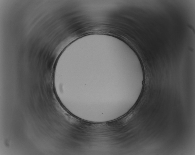 X0000103311434200809261326