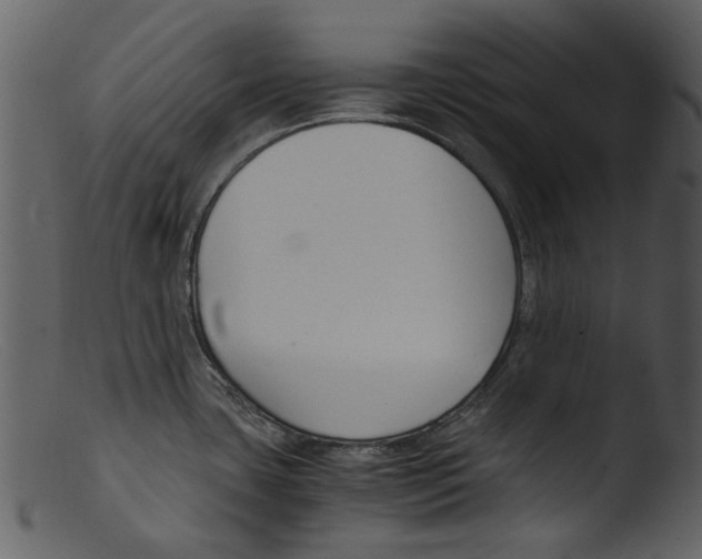 X0000103311435200809261326