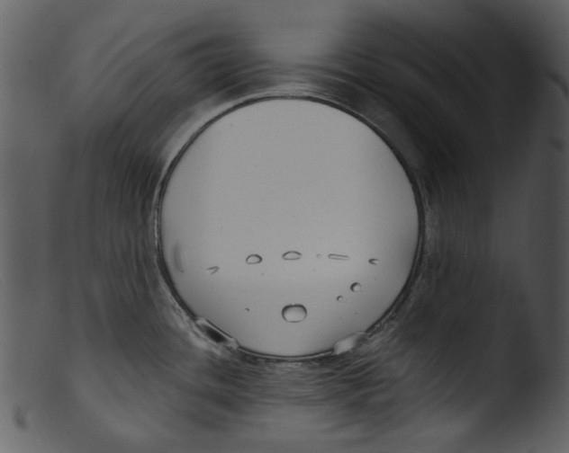 X0000103311436200809261326