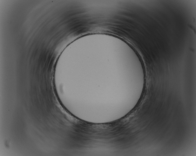 X0000103311437200809261326