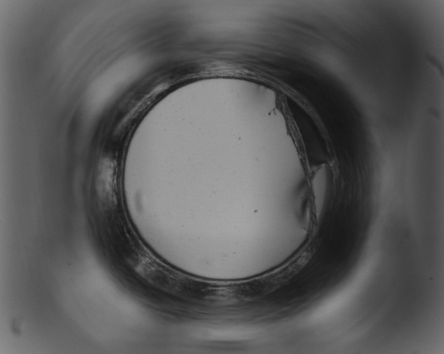 X0000103311438200809261326