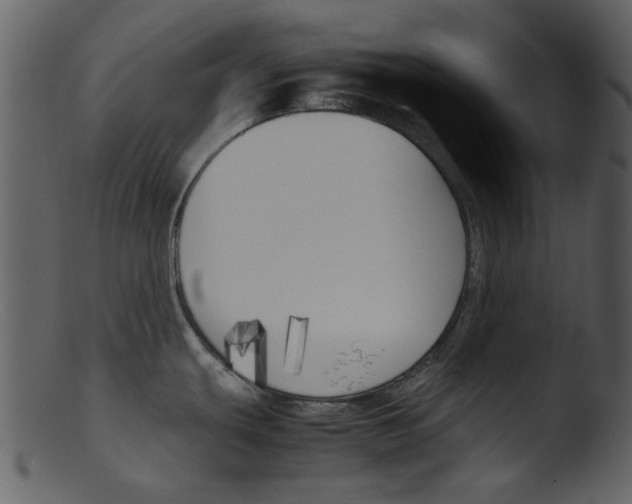 X0000103311439200809261326