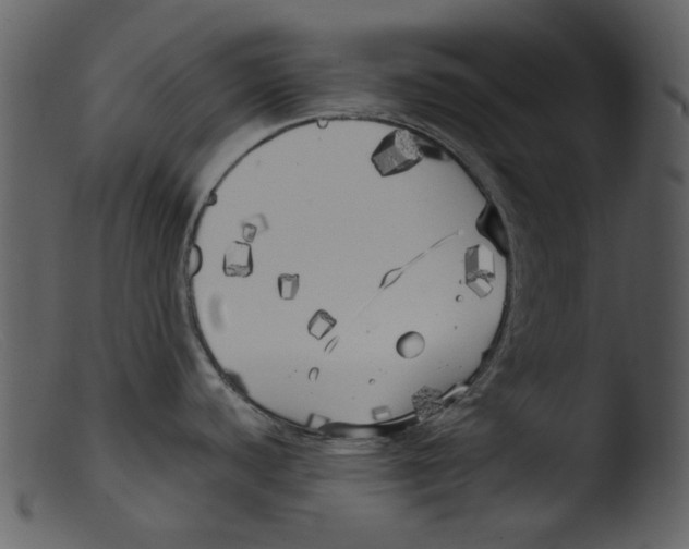 X0000103311440200809261326