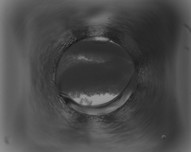 X0000103311441200809261326