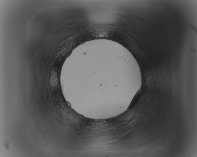 X0000103311442200809261326