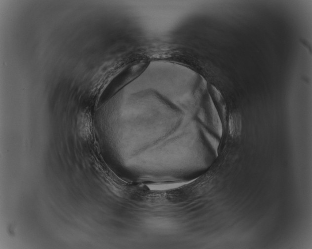 X0000103311444200809261326