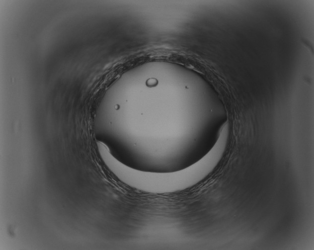 X0000103311445200809261326