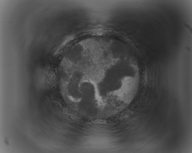 X0000103311446200809261326