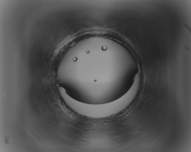 X0000103311448200809261326