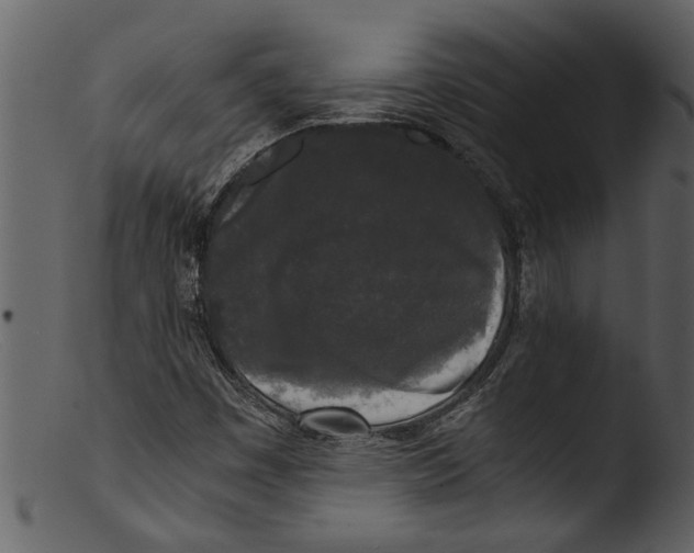 X0000103311449200809261326