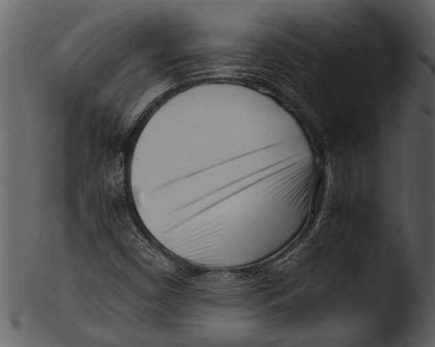 X0000103311450200809261326