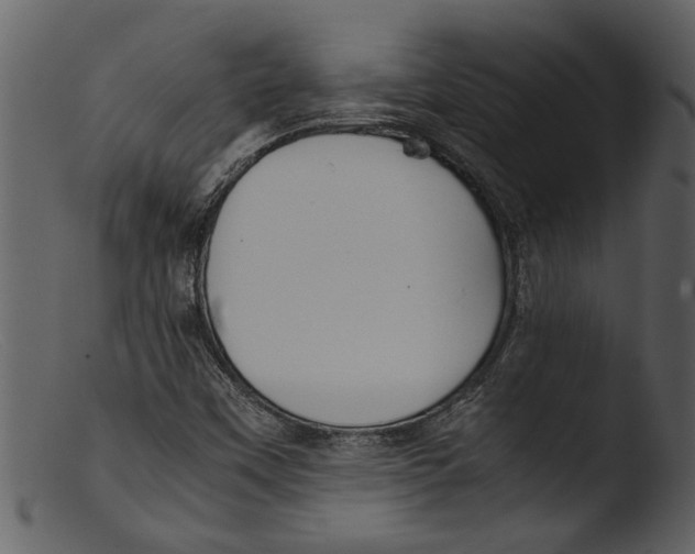 X0000103311451200809261326