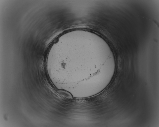 X0000103311452200809261326