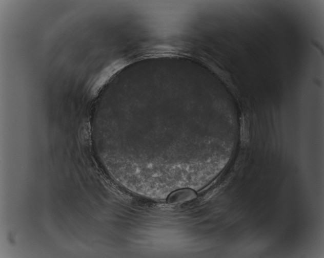 X0000103311453200809261326