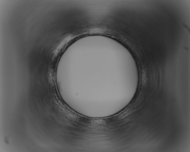 X0000103311454200809261326