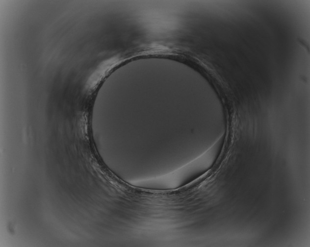 X0000103311455200809261326