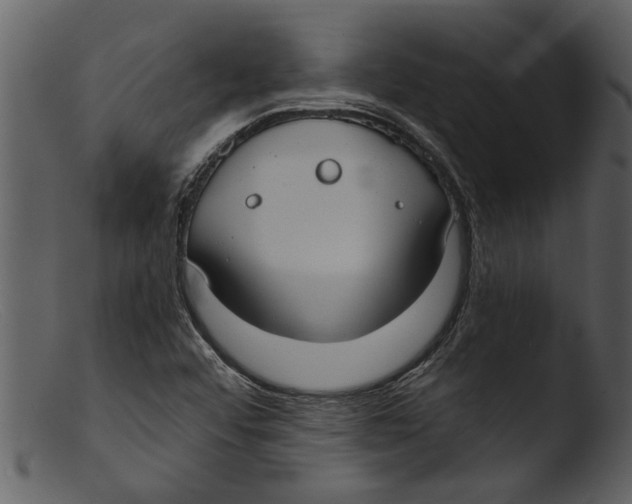 X0000103311456200809261326