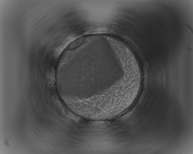 X0000103311457200809261326