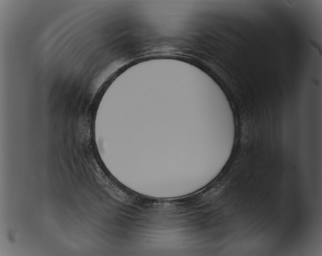 X0000103311458200809261326