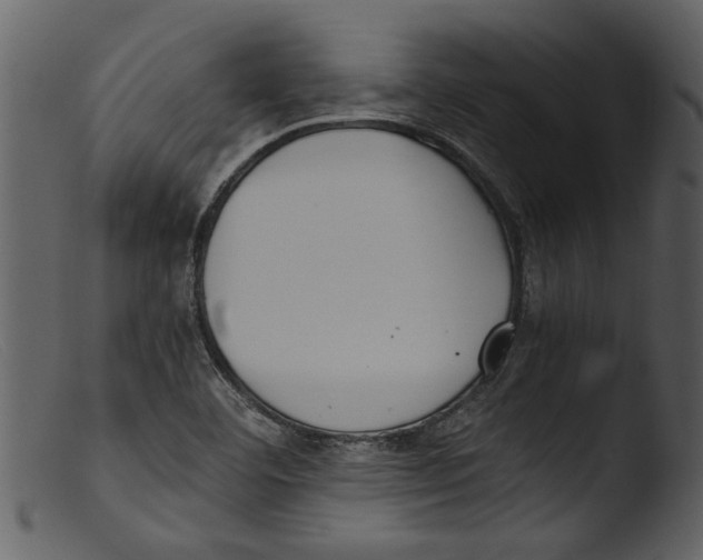 X0000103311460200809261326