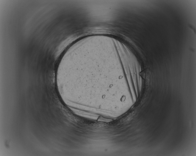 X0000103311461200809261326