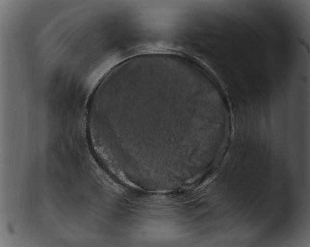 X0000103311463200809261325