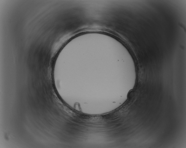 X0000103311464200809261325