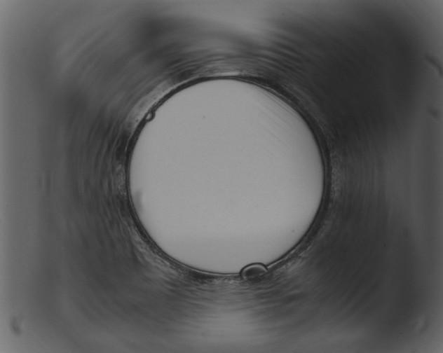 X0000103311465200809261325